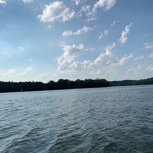 Meet your Posher, Katelyn